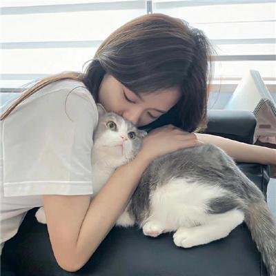 三角窗外是黑夜动画版